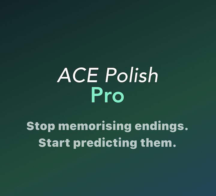 ACE Polish Pro language learning app